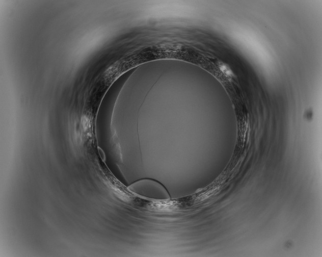 X0000099420526200805091246