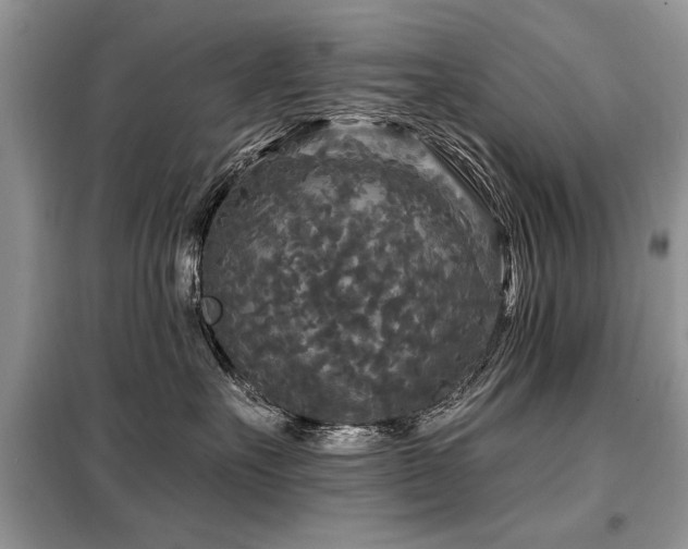 X0000099420527200805091246