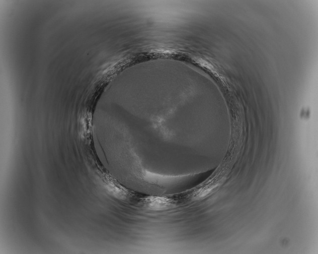 X0000099420528200805091246