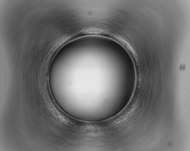 X0000099420529200805091245