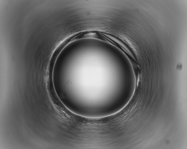 X0000099420532200805091245