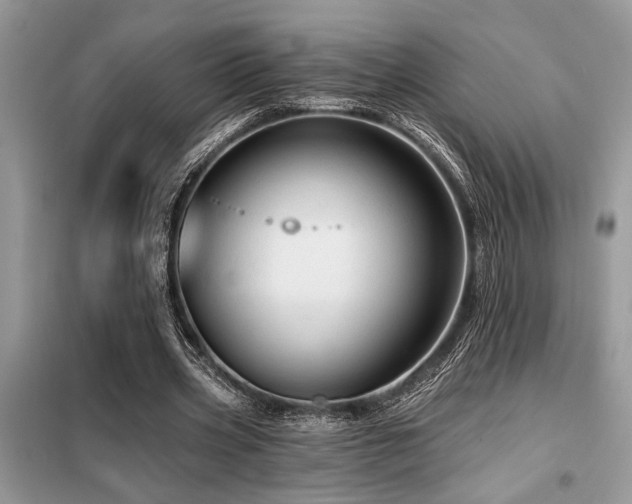 X0000099420533200805091245