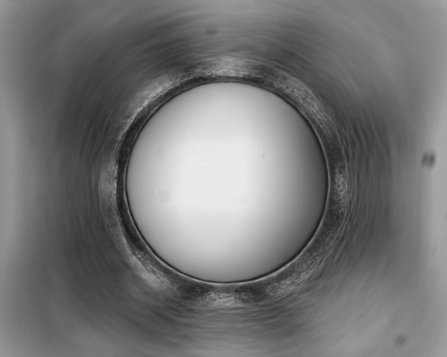 X0000099420534200805091245