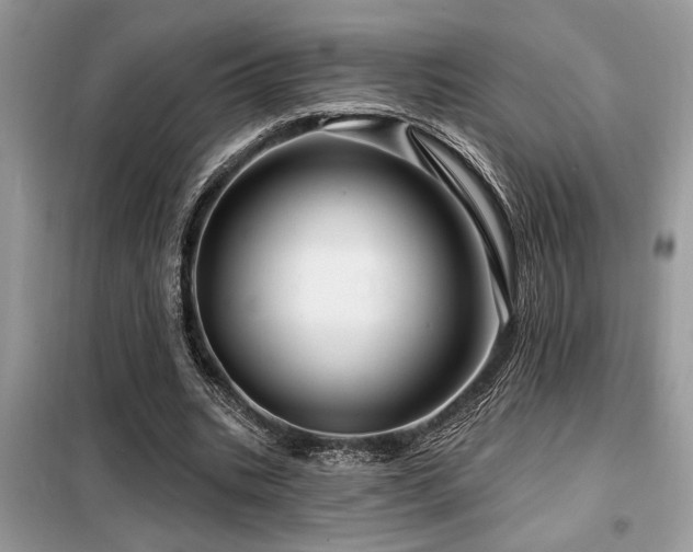 X0000099420535200805091245
