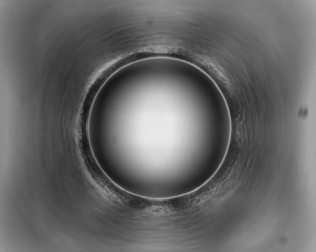 X0000099420536200805091245