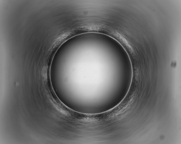 X0000099420537200805091245