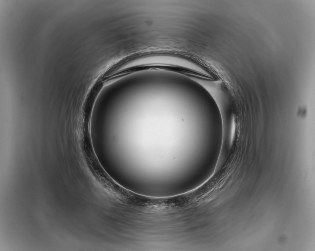 X0000099420540200805091245