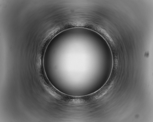 X0000099420541200805091245