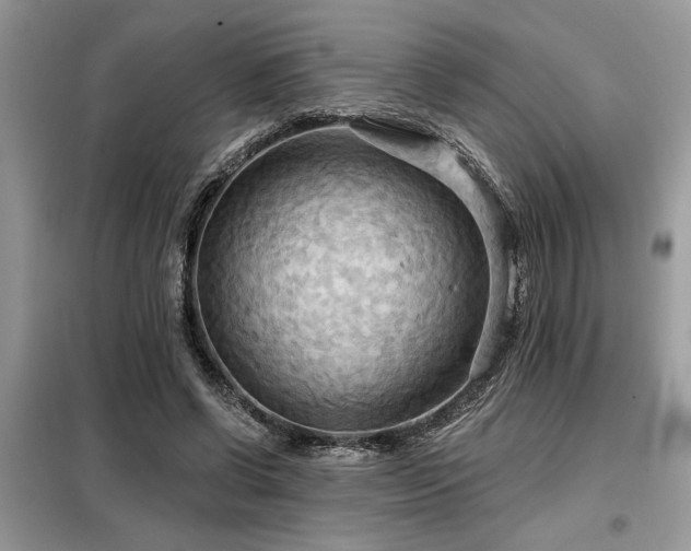 X0000099420542200805091245