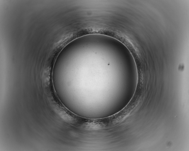 X0000099420545200805091245
