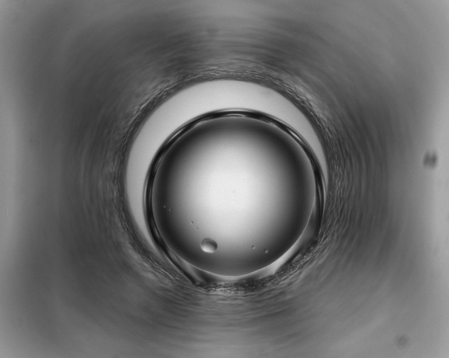 X0000099420546200805091245