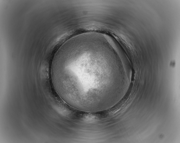 X0000099420547200805091245