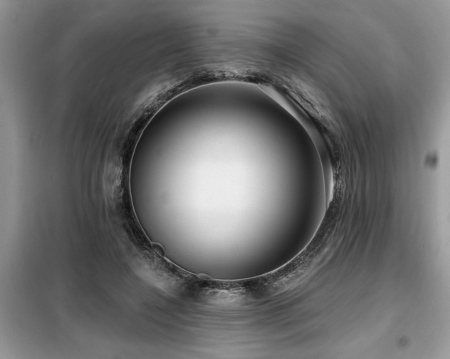 X0000099420548200805091245