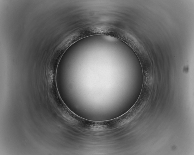 X0000099420549200805091245