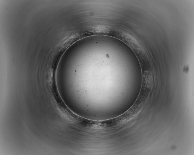 X0000099420550200805091245