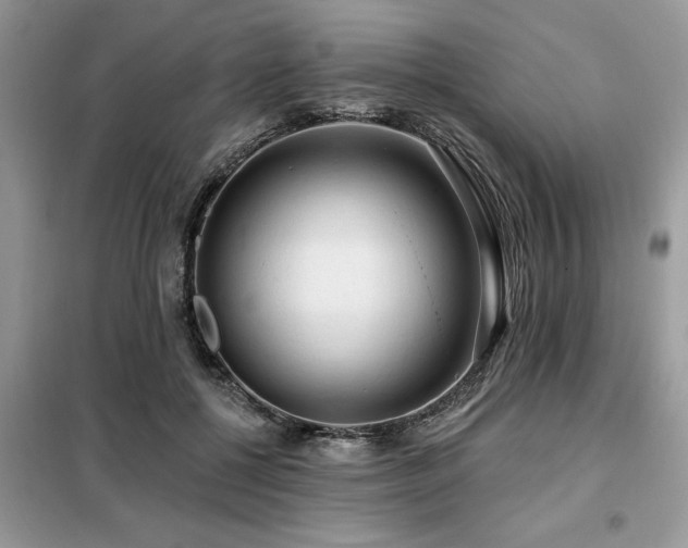 X0000099420552200805091245