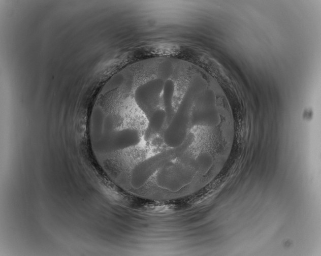 X0000099420553200805091245