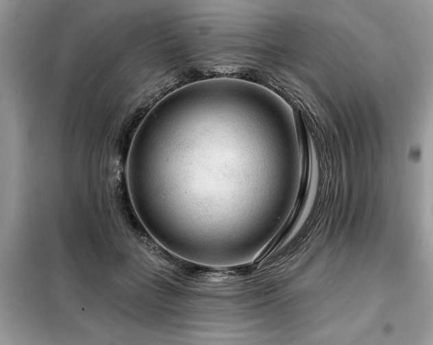 X0000099420555200805091245