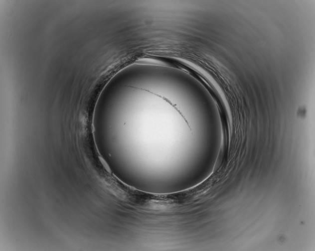 X0000099420556200805091245