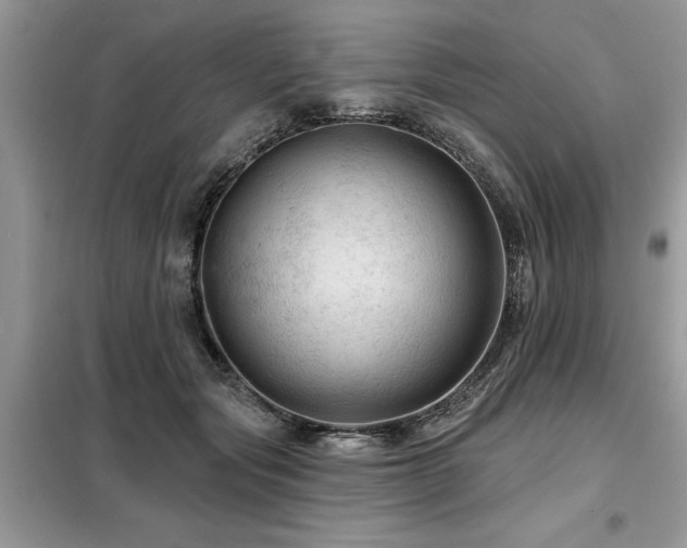 X0000099420557200805091245