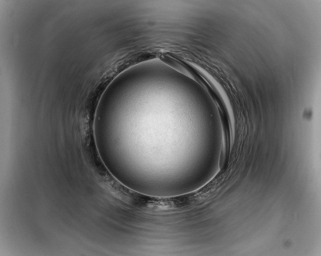 X0000099420559200805091245