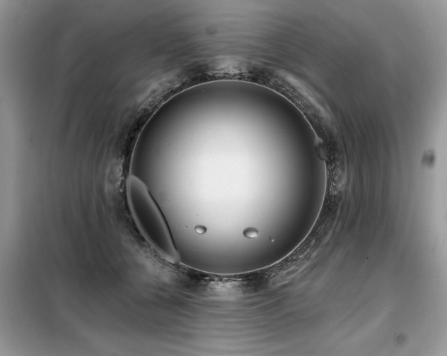 X0000099420560200805091245