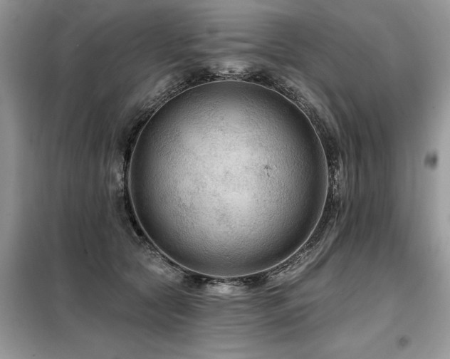 X0000099420561200805091245