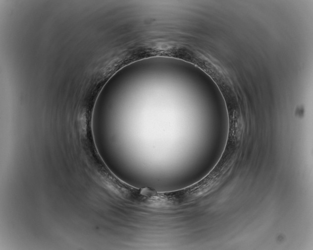 X0000099420562200805091245