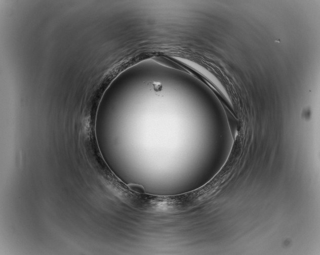 X0000099420564200805091245