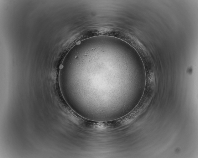 X0000099420565200805091245