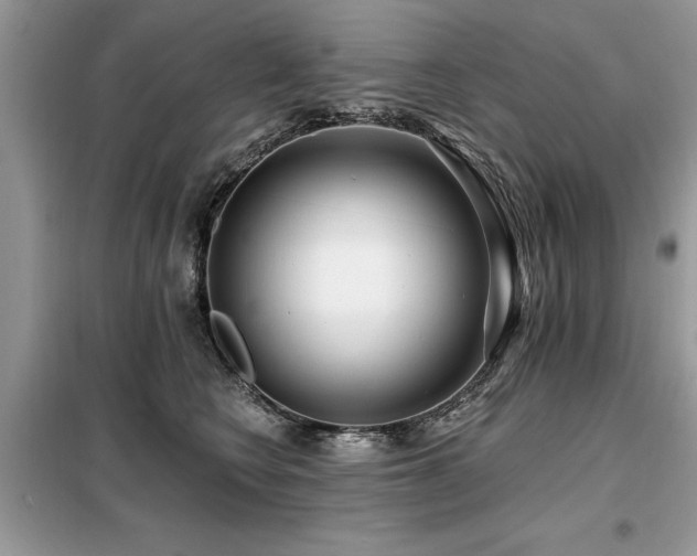 X0000099420566200805091245