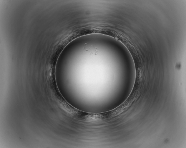 X0000099420567200805091245