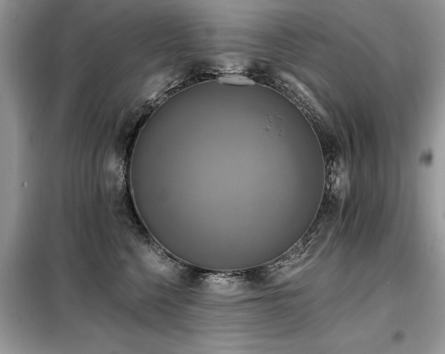 X0000099420568200805091245