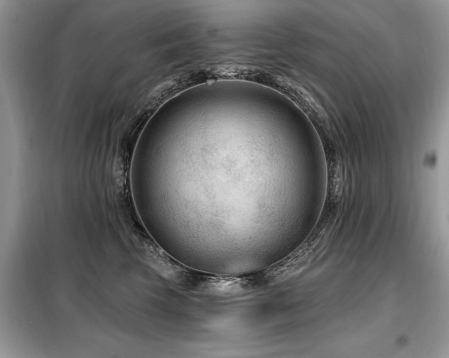 X0000099420569200805091245