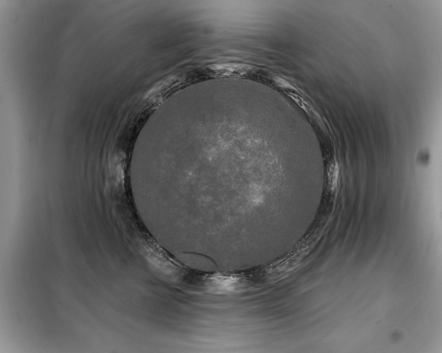 X0000099420570200805091245