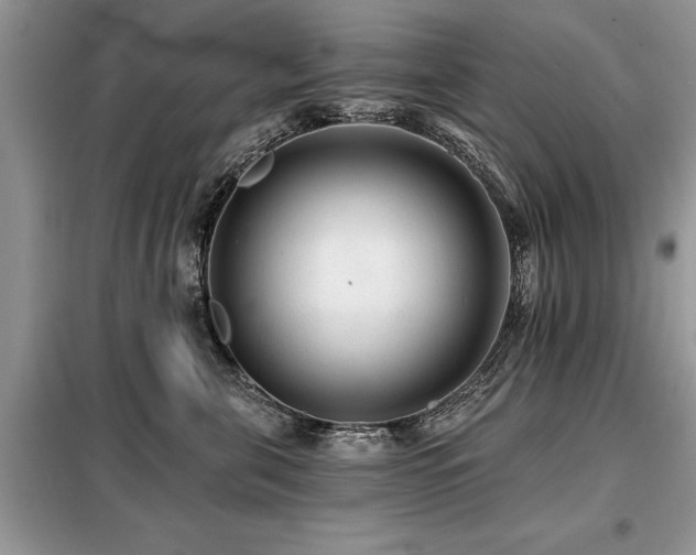 X0000099420571200805091245