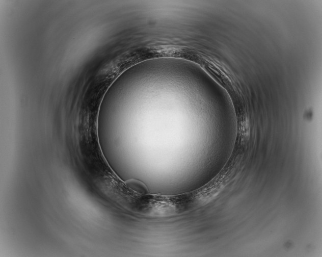 X0000099420572200805091245
