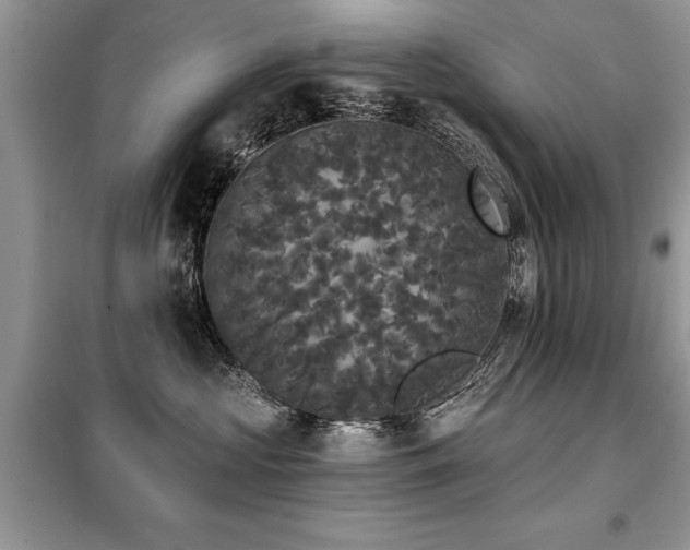 X0000099420573200805091245