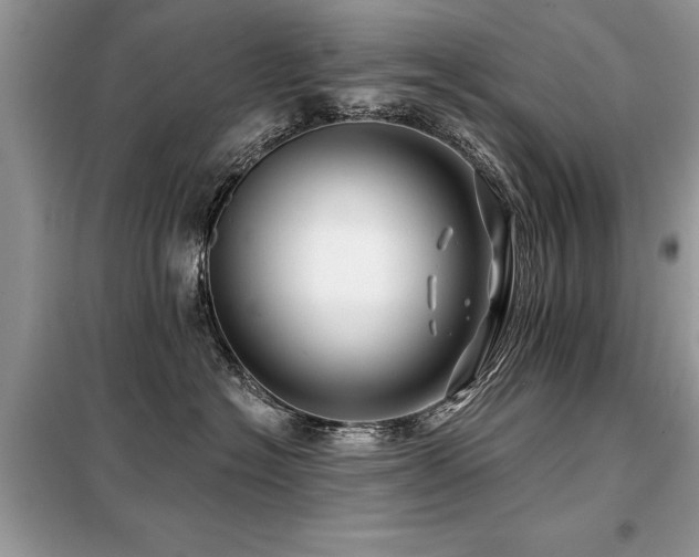 X0000099420574200805091245