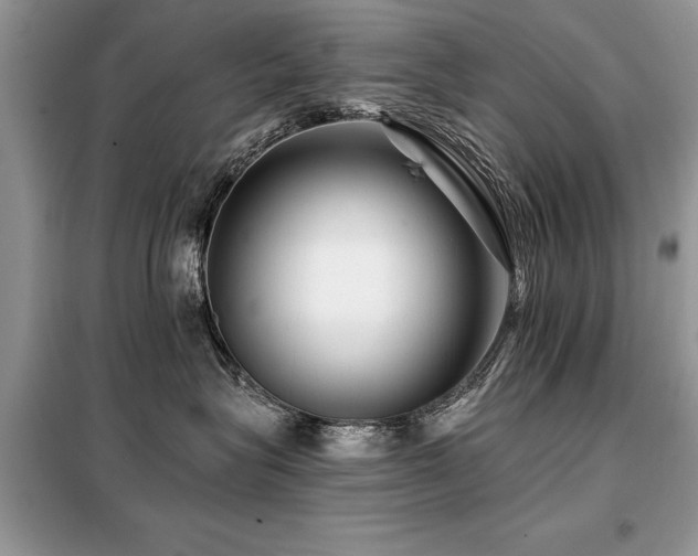 X0000099420575200805091245