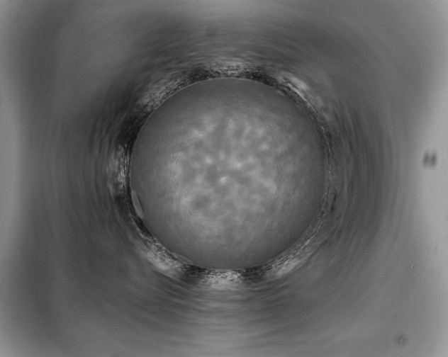X0000099420576200805091246