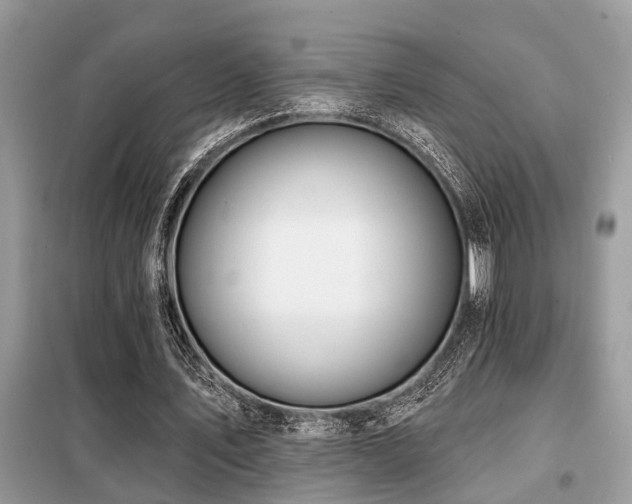 X0000099420579200805091245