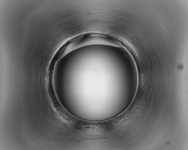 X0000099420580200805091245