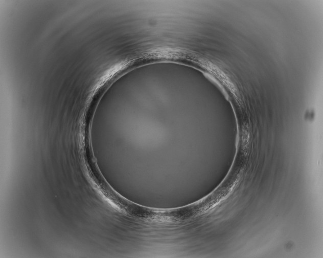 X0000099420581200805091245