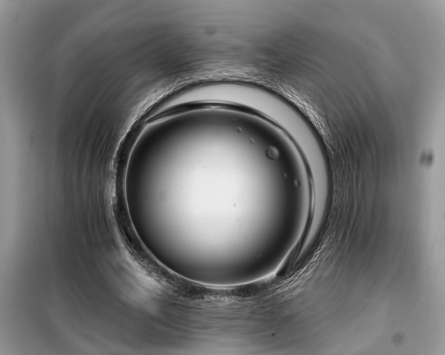 X0000099420582200805091245