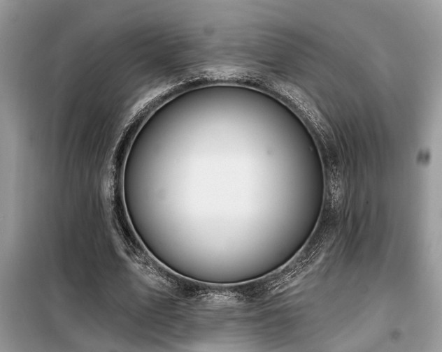 X0000099420583200805091245