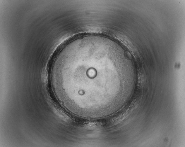 X0000099420584200805091245