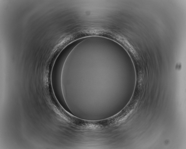 X0000099420585200805091245