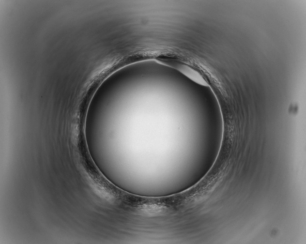 X0000099420586200805091245