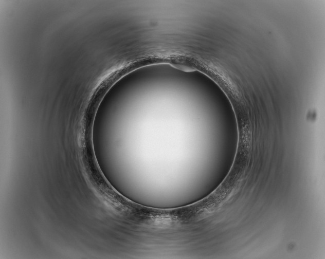 X0000099420587200805091245